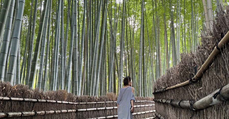 Kyoto: Avoid the Crowds at the Hidden Gems of Arashiyama - Togetsu Bridge and the first Arashiyama views