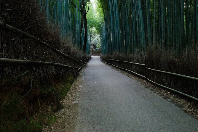 Kyoto Bamboo Forest & Golden Pavilion E-Bike Tour - Tenryu-ji’s Zen garden