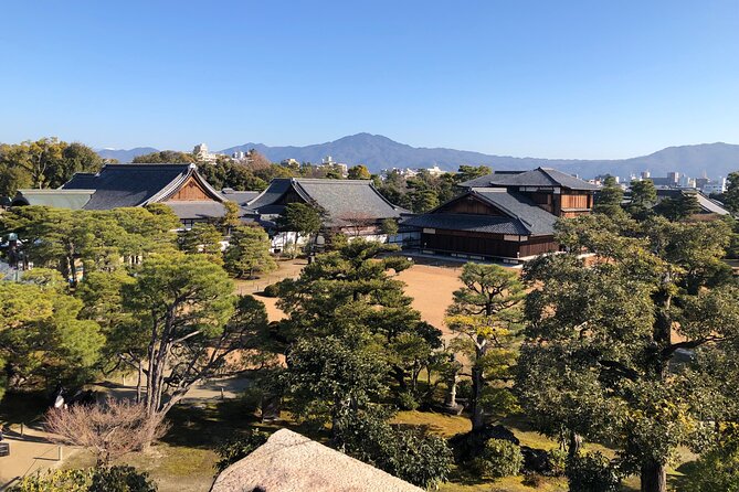 Kyoto Bamboo Forest & Golden Pavilion E-Bike Tour - The food stop and local help