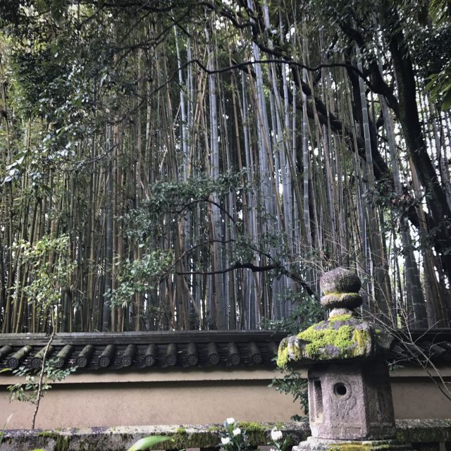 Kyoto: City Secrets eBike Tour - Geisha streets and the shrine of knowledge