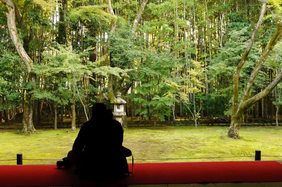 Kyoto: City Secrets eBike Tour - Zen gardens, mountain roads, and quiet temples
