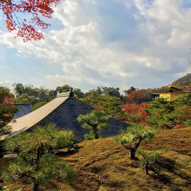 Kyoto: City Secrets eBike Tour - How much value do you get for $127?
