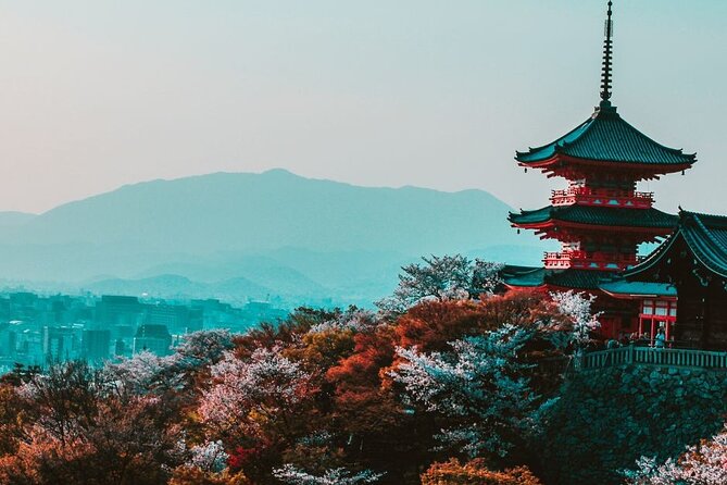 Kyoto Custom Private Walking Tour with A Guide (Private Tour) - Key things to know before booking
