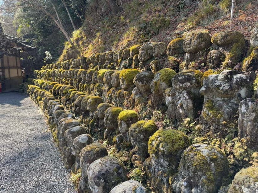 Kyoto Custom Private Walking Tour with Licensed Guide (4/8h) - Arashiyama Bamboo Forest and the western hills