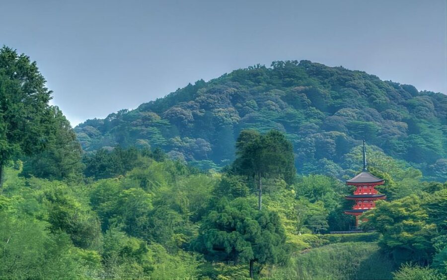 Kyoto: Customizable Full-Day Tour with Privarte Transfers - Kinkaku-ji and Kyoto’s famous golden image