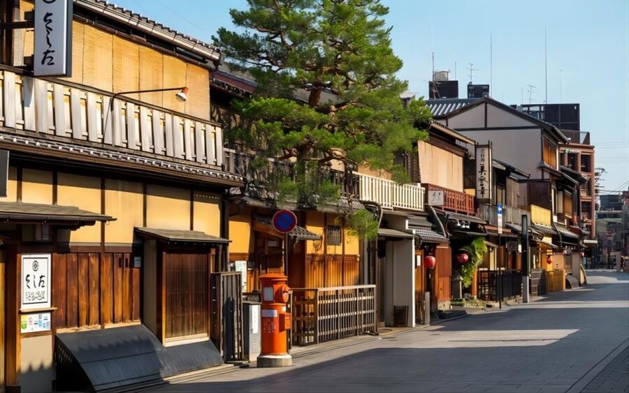 Kyoto: Customizable Full-Day Tour with Privarte Transfers - Driver only or private guide?