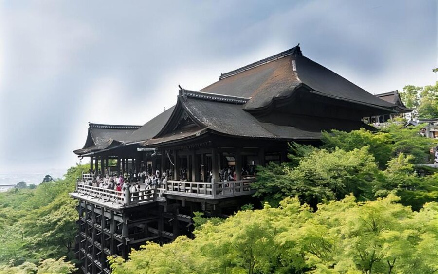 Kyoto: Customizable Full-Day Tour with Privarte Transfers - Vehicle size, comfort, and group limits