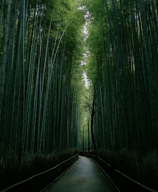 Kyoto: Customized One Day Car tour - What this tour does not provide