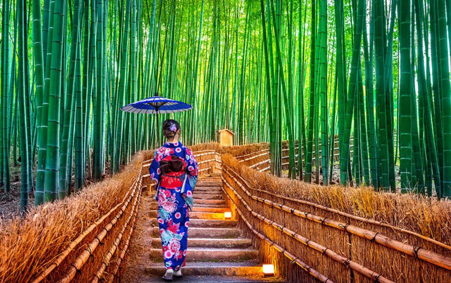 Kyoto Day Tour with Certified Tour Guide & Luxury vehicle - Key points at a glance