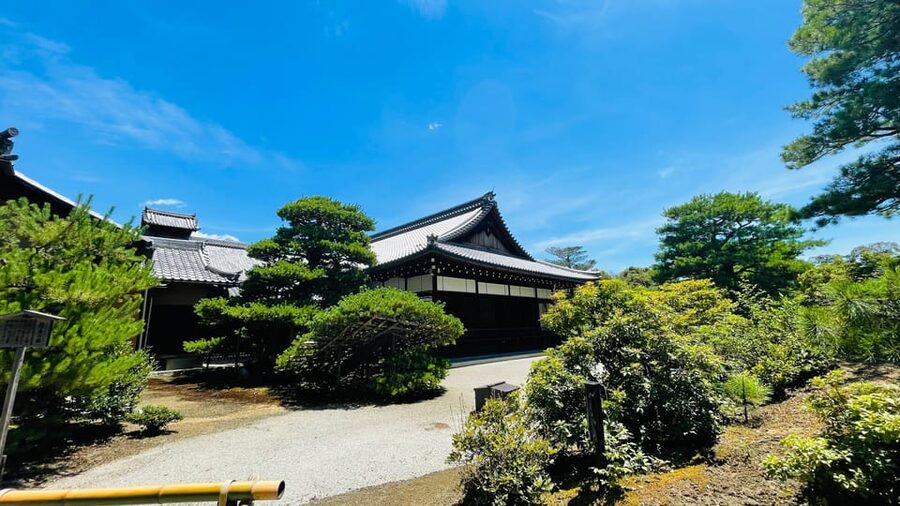 Kyoto Day Tour with Certified Tour Guide & Luxury vehicle - What the guides add to the day