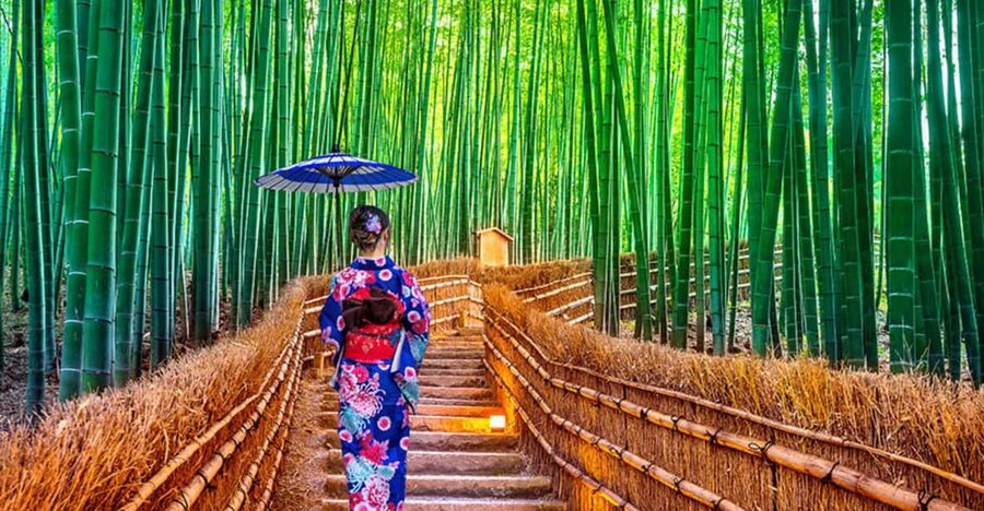 Kyoto Day Tour with Certified Tour Guide & Luxury vehicle - A private way to cover Kyoto’s big sights