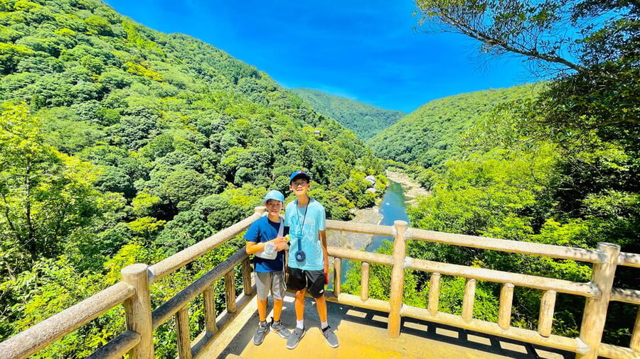 Kyoto Day Tour with Certified Tour Guide & Luxury vehicle - Fushimi Inari: torii gates and a choice about distance