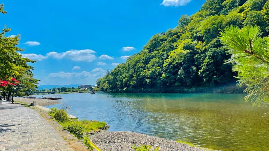 Kyoto Day Tour with Certified Tour Guide & Luxury vehicle - Kiyomizu-dera: hillside views and traditional Kyoto