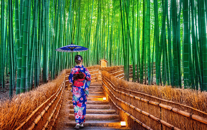 Kyoto Day Tour with Certified Tour Guide & Luxury vehicle - Arashiyama: bamboo, river views, and a busy start