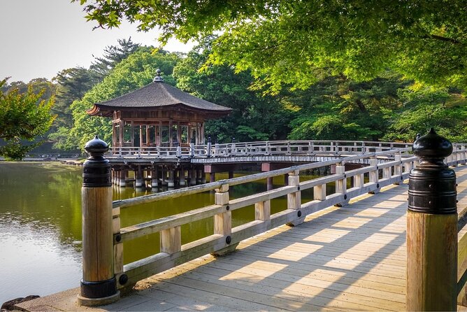 Kyoto Day Trip to Nara with a Local – Private & Personalized - Who will get the most from this Nara day?