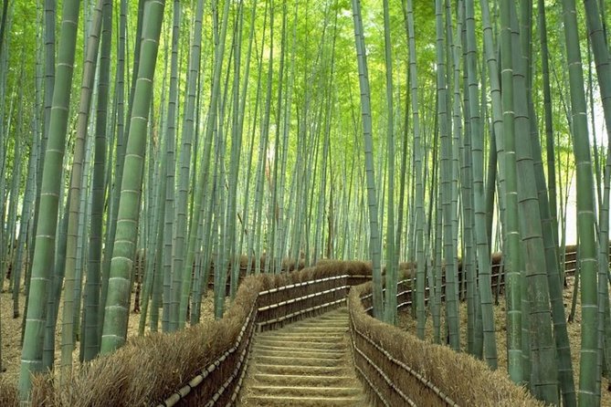 Kyoto Day Trip using Private Car with English Driver (up to 5) - Arashiyama and its bamboo forest