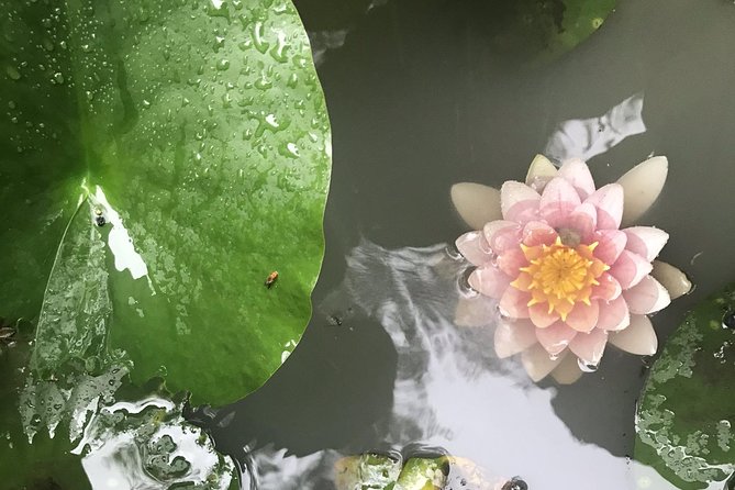 Kyoto: Descending Arashiyama (Private) - Okochi Sanso Garden and the best views