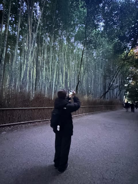 Kyoto: Discover Fushimi Inari, Kiyomizudera, and Yasaka Pagoda. - Kiyomizudera’s wooden terrace and pure water