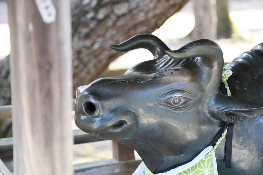 Kyoto: Discover the Oldest Geisha District, Kamishichiken - Practical points that affect your choice