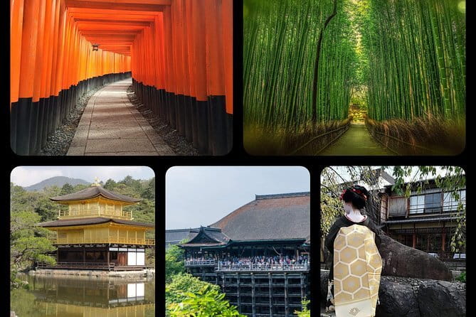 Kyoto E-Bike Tour of Hidden Gems, Backstreets and Temples - Shimogamo Shrine: ancient woods and a slower rhythm