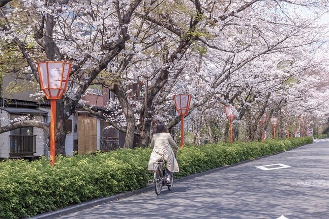 Kyoto E-Bike Tour of Hidden Gems, Backstreets and Temples - Nanzen-ji: temple architecture at the foot of the hills