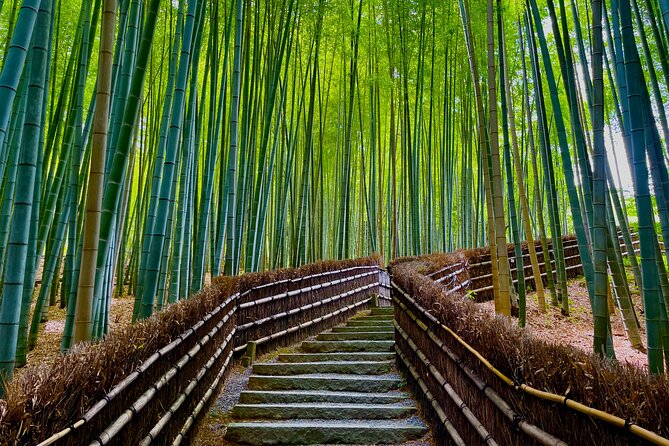 Kyoto Early Bird English Tour: Fushimi-Inari and Arashiyama - Togetsukyo Bridge and the end of the morning