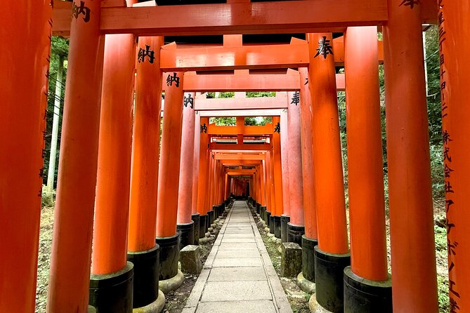 Kyoto Early Bird English Tour: Fushimi-Inari and Arashiyama - What the guides add to the experience