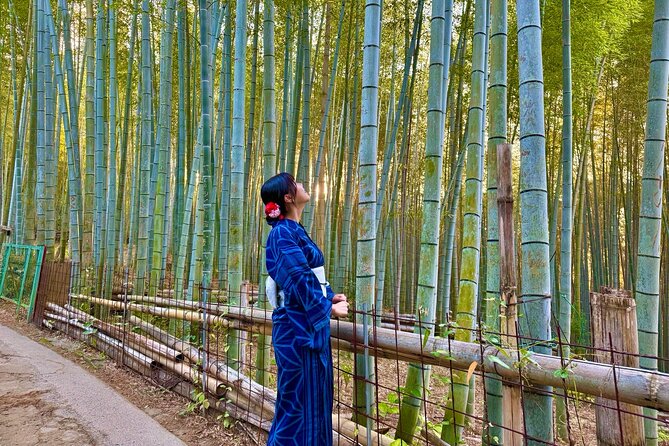 Kyoto Early Bird English Tour: Fushimi Inari & Gion(Private opt) - Yasaka Shrine makes a fitting finish