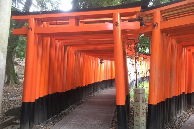 Kyoto Early Bird Tour: Fushimi Inari, Arashiyama Bamboo & Monkeys - Arashiyama Bamboo Forest in one hour