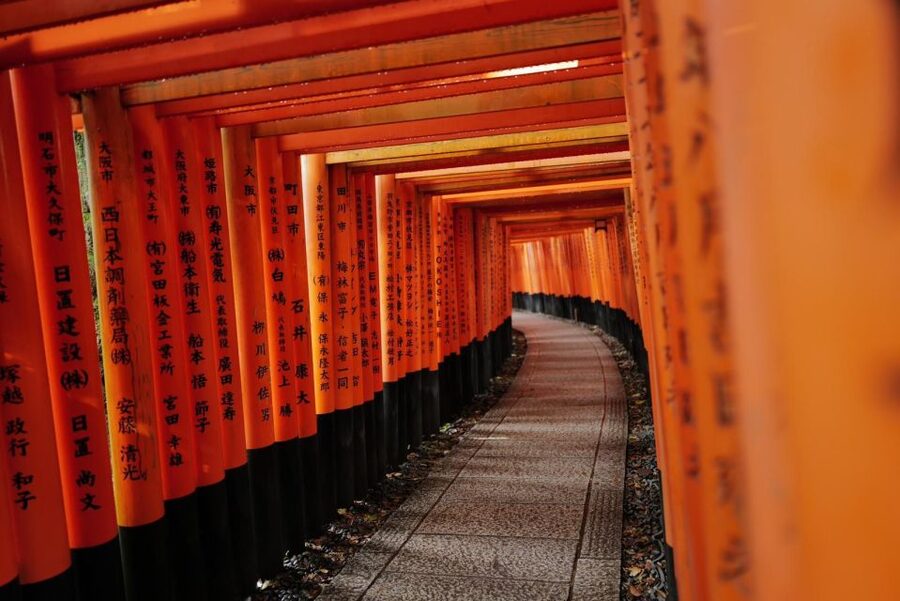 Kyoto: Early Morning Tour with English-Speaking Guide - Should you book it?