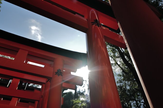 Kyoto: Early Morning Tour with English-Speaking Guide - Arashiyama’s bamboo forest and western Kyoto