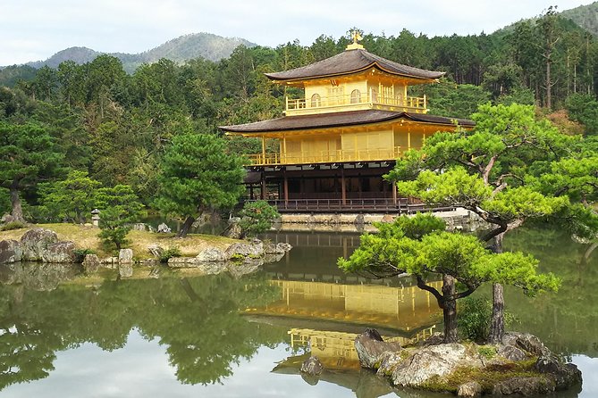 Kyoto Early Riser Golden One-Day Walking Tour - The Arashiyama Bamboo Forest in one hour