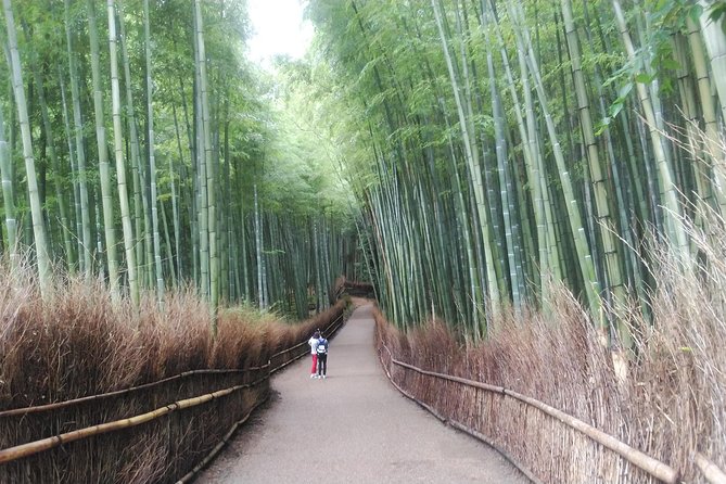 Kyoto Early Riser Platinum One-Day Walking Tour - Nishiki Market for snacks and local flavor