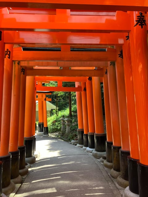 Kyoto: Essential Tour with Fushimi Inari & Bamboo Grove - Hotel pickup and three train rides