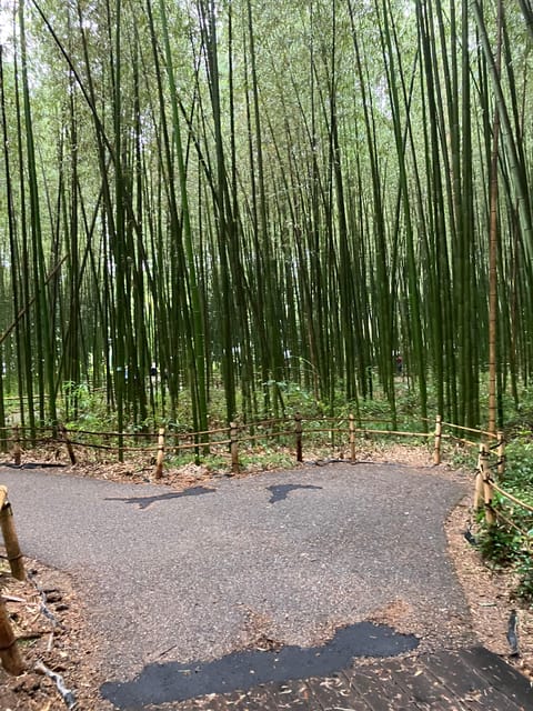 Kyoto: Essential Tour with Fushimi Inari & Bamboo Grove - Who should book this private Kyoto tour?