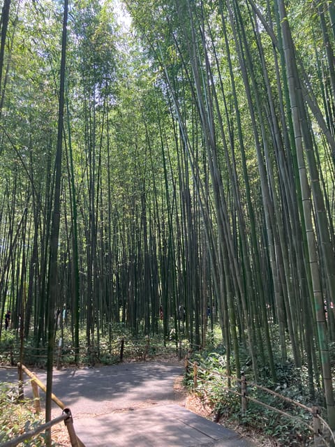 Kyoto: Essential Tour with Fushimi Inari & Bamboo Grove - Entering Fushimi Inari’s famous torii gates