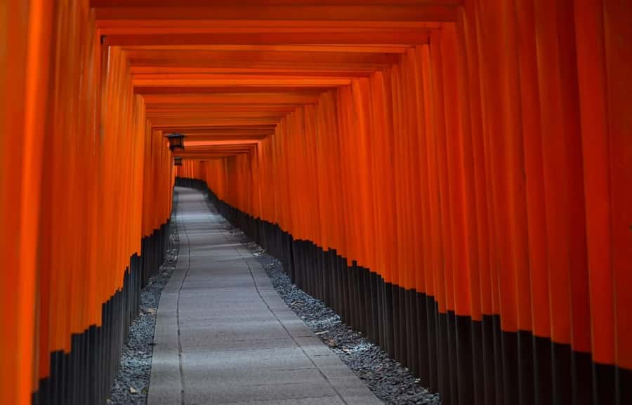 Kyoto : Flexible 3 hours Tour with a English Speaking guide. - Timing, walking, and practical comfort