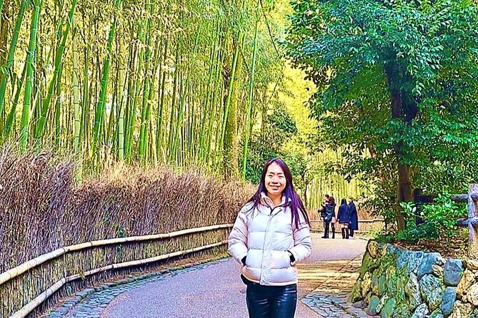 Kyoto Full Course Tour: Explore 10 Must-See Sights & Hidden Gems - Kiyomizu-zaka, Sanneizaka, and Yasaka Pagoda