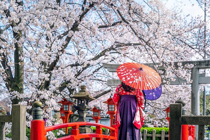 Kyoto Full Day (8 hours) Ultimate Sightseeing Private Tour - What the guides add to the day