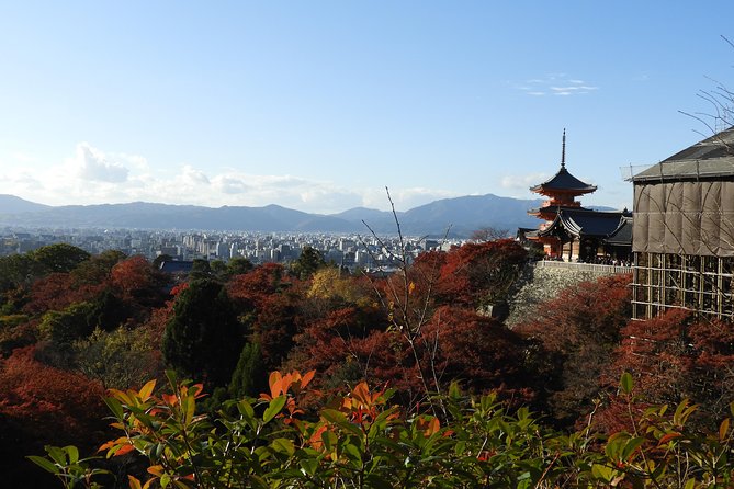 Kyoto Full Day (8 hours) Ultimate Sightseeing Private Tour - Transportation can change the value