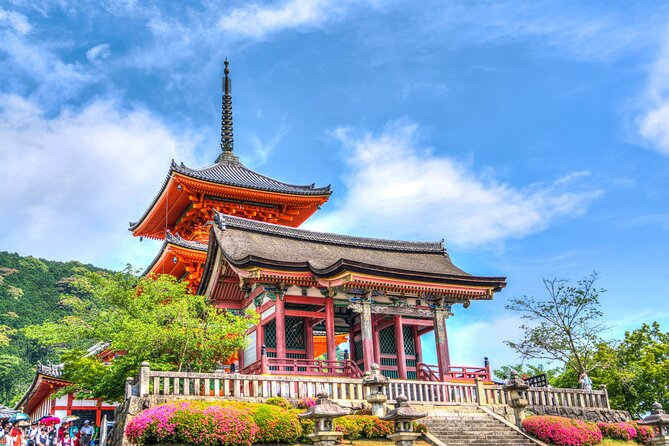 Kyoto Full Day (8 hours) Ultimate Sightseeing Private Tour - Price, timing, and who gets the best value