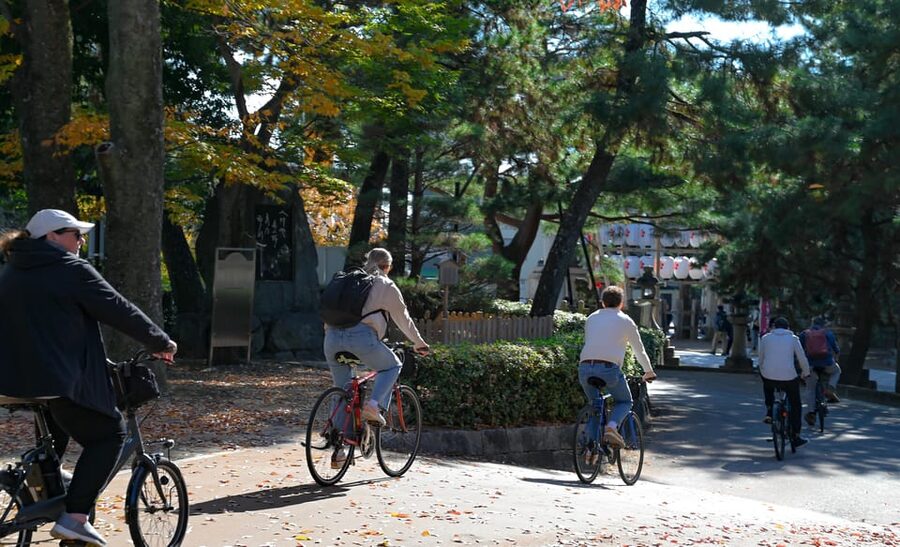 Kyoto: Full Day Bike Tour - What the bikes and group size mean for you