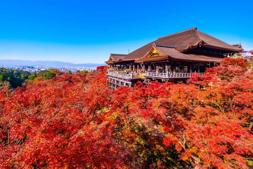 Kyoto: Full-Day English Guided Tour of Kyoto's Highlights - Who should book this Kyoto day tour?