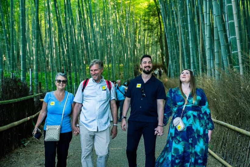 Kyoto: Full-Day English Guided Tour of Kyoto's Highlights - Kiyomizu-dera and the view from its wooden stage