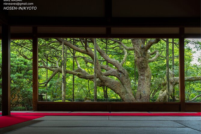 Kyoto Full-Day Excursion from Kobe (Osaka) Port - A quieter way to see Kyoto from Kobe Port