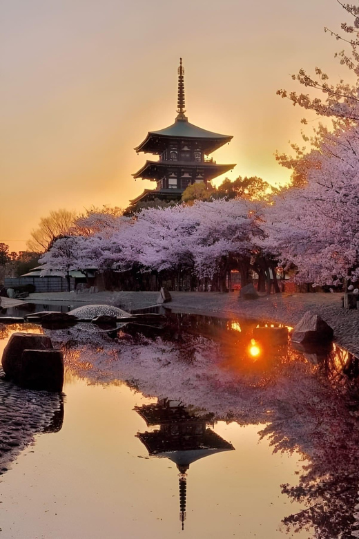 Kyoto full day private day trip with English speaking driver - Starting from Osaka or Kyoto by private minivan
