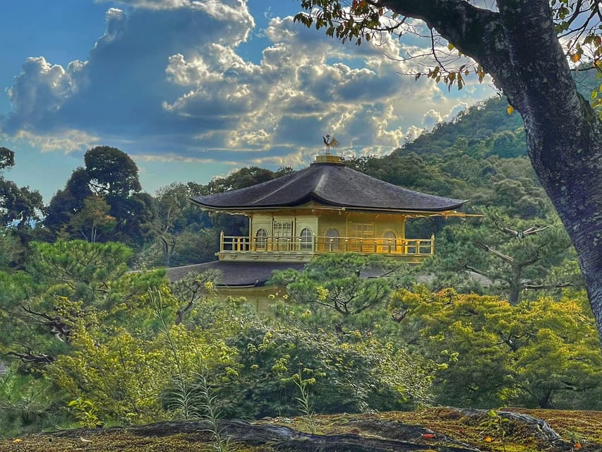 Kyoto full day private day trip with English speaking driver - Your driver-guide and the private format