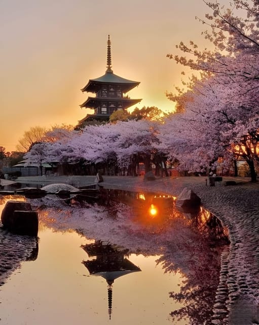 Kyoto full day private day trip with English speaking driver - Kiyomizu-dera for temple views over Kyoto