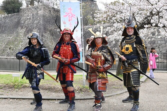 Kyoto Full Day Sightseeing Tour from Osaka or Kyoto - The value of $67, plus the extra fees