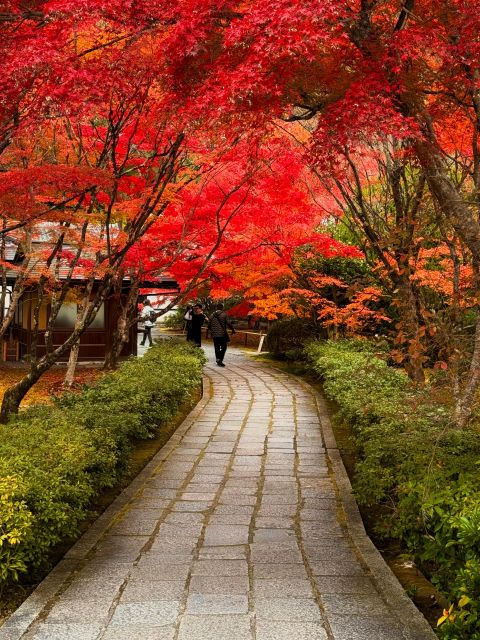 Kyoto: Fully customizable your own tour in the old capital - What Nori adds beyond directions